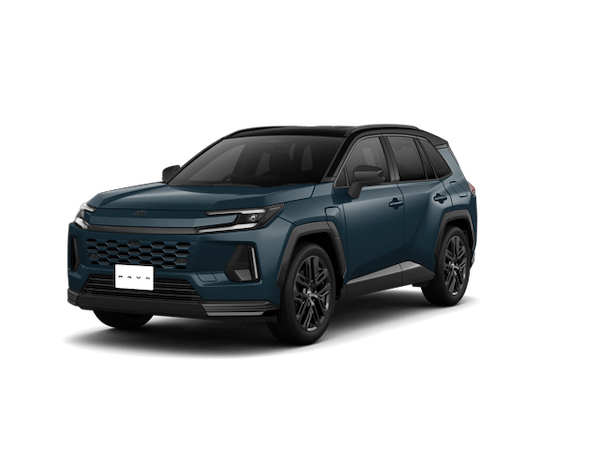 RAV4ブラック〈202〉×マッシブグレー